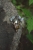 P1850077.jpg