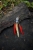 P1850275.jpg