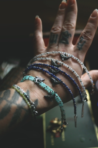 P1920285.jpg