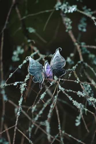 motyl10.jpg