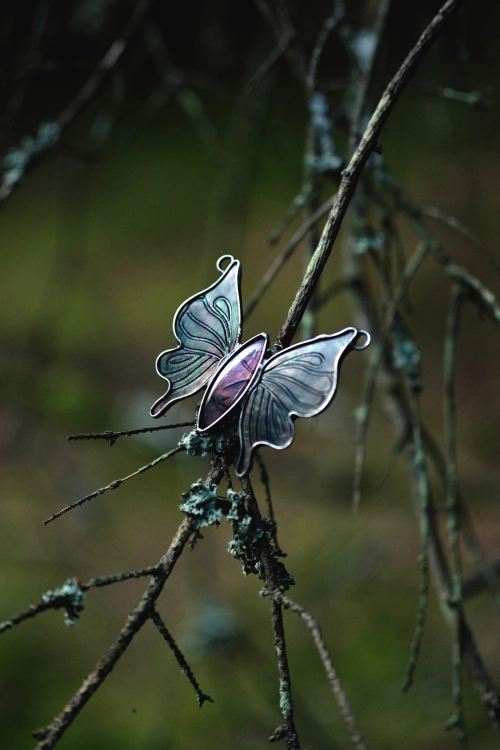 motyl11.jpg