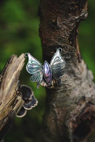 motyl12.jpg