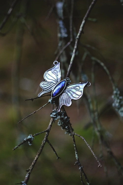 motyl21.jpg