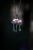 DSCF2613.jpg