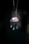 DSCF2615.jpg