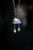 DSCF2622.jpg